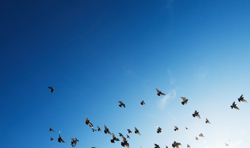 Work-Life-Balance: Das sollten Sie anbieten.